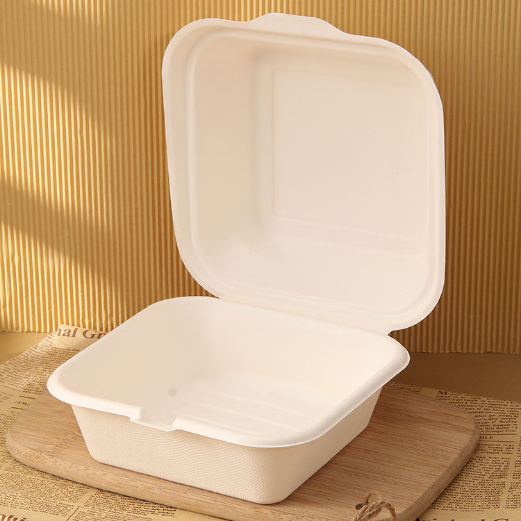 PLA Biodegradable Disposable Take Out Food Containers Lunch Box