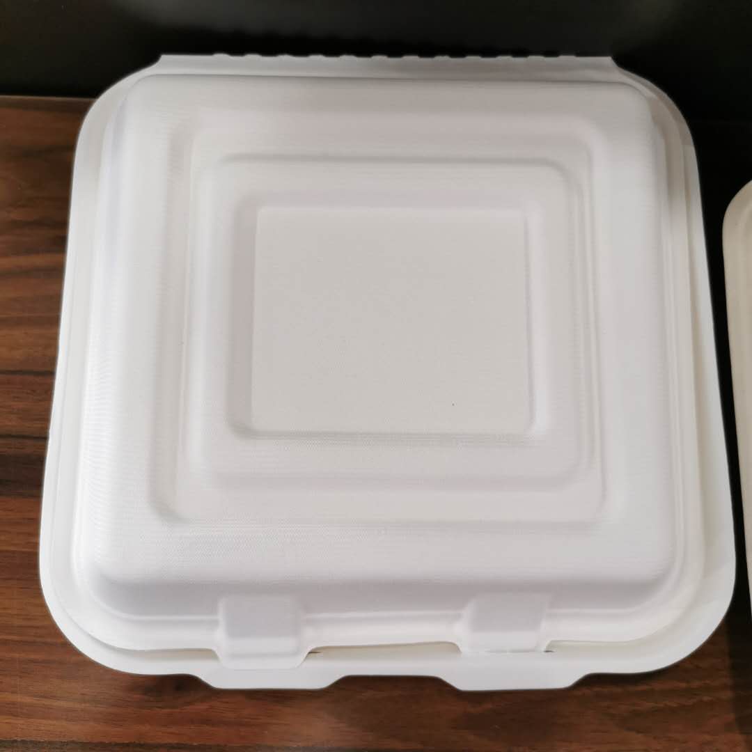 Biodegradable Food Containers Disposable Takeaway Pla Lunch Box
